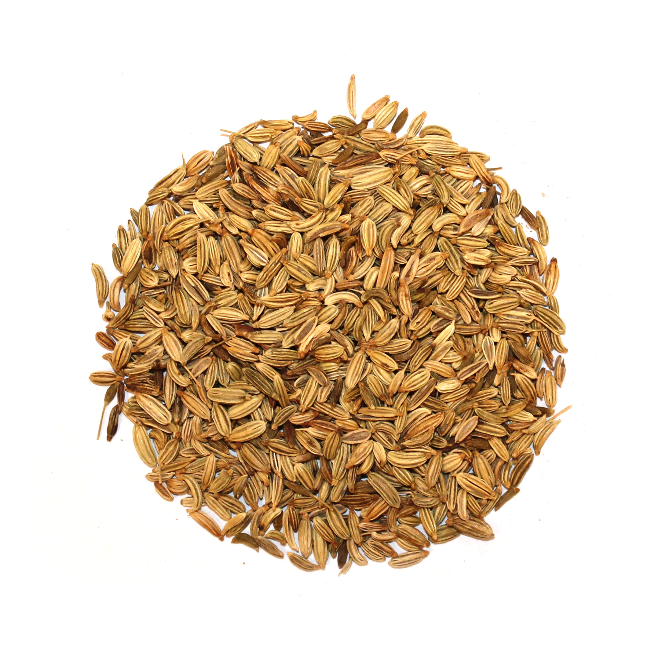 Fennel Seeds The Equine Herb Company